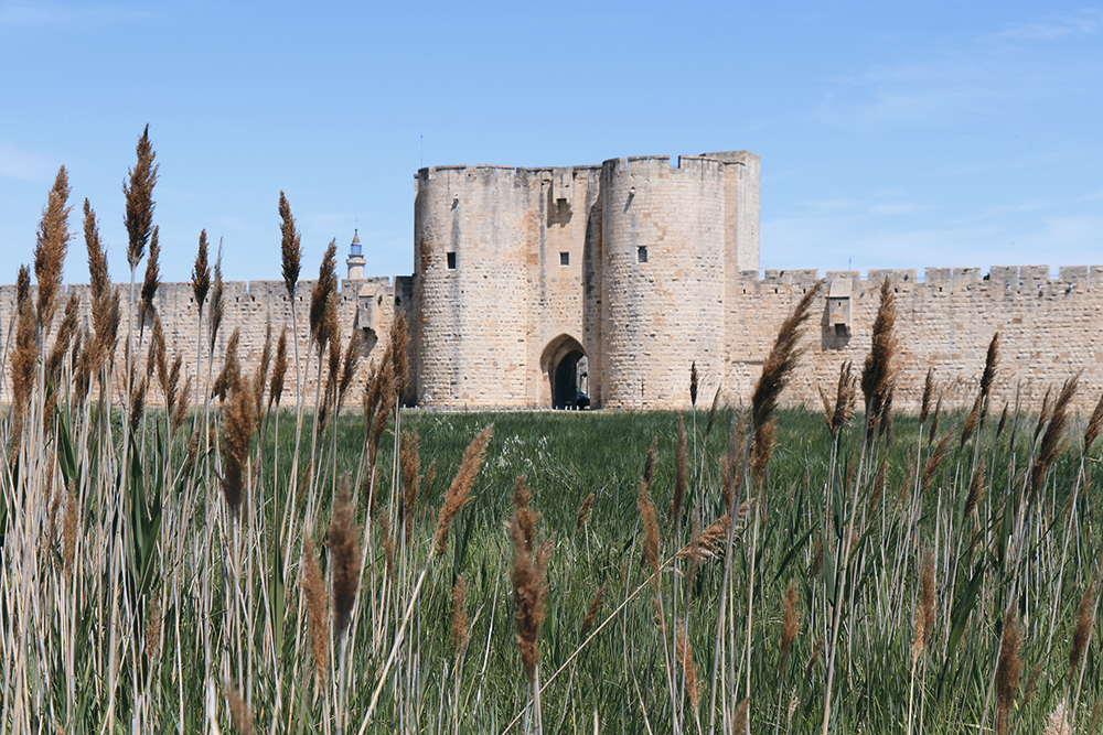 séjour-à-aigues-mortes-camargue-gard